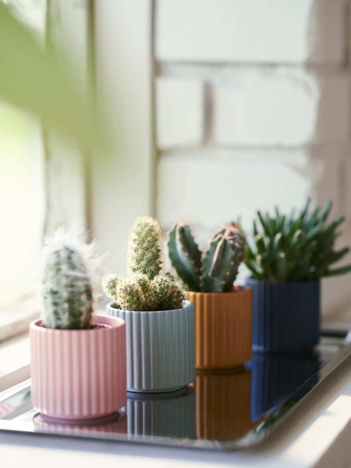 IKEA DAKSJUS: A Limited Collection for Plant Lovers 13 ikea-daksjus-new-collection-colorful-plant-pots