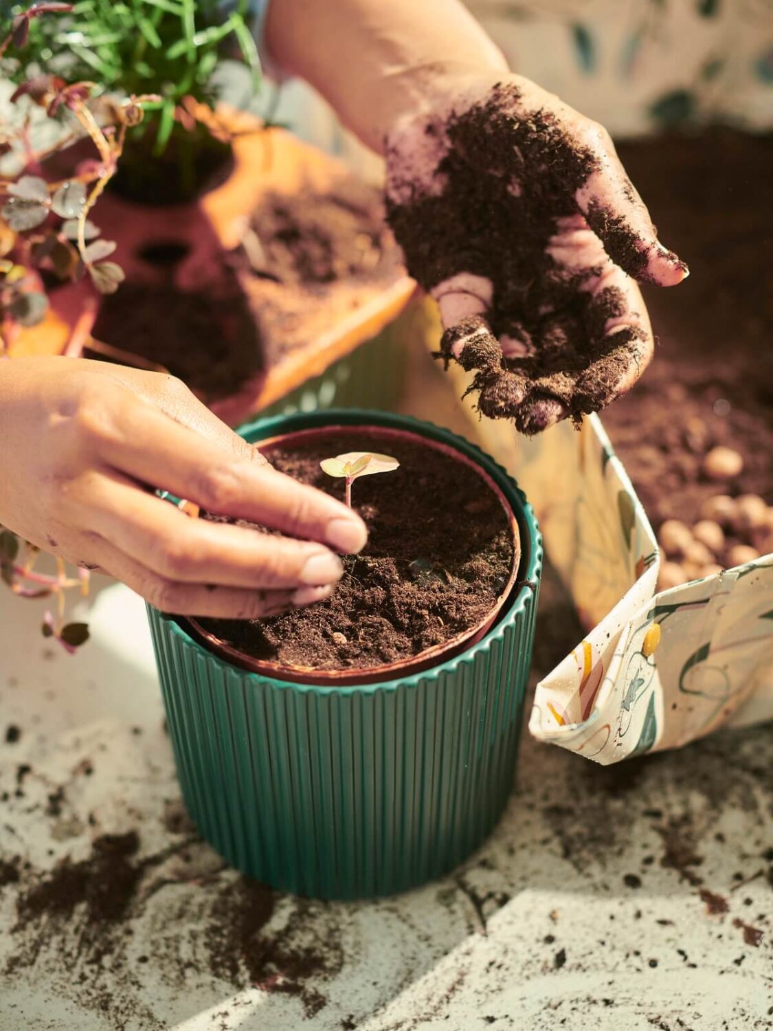 IKEA DAKSJUS: A Limited Collection for Plant Lovers 29 ikea-daksjus-new-collection-greenpot