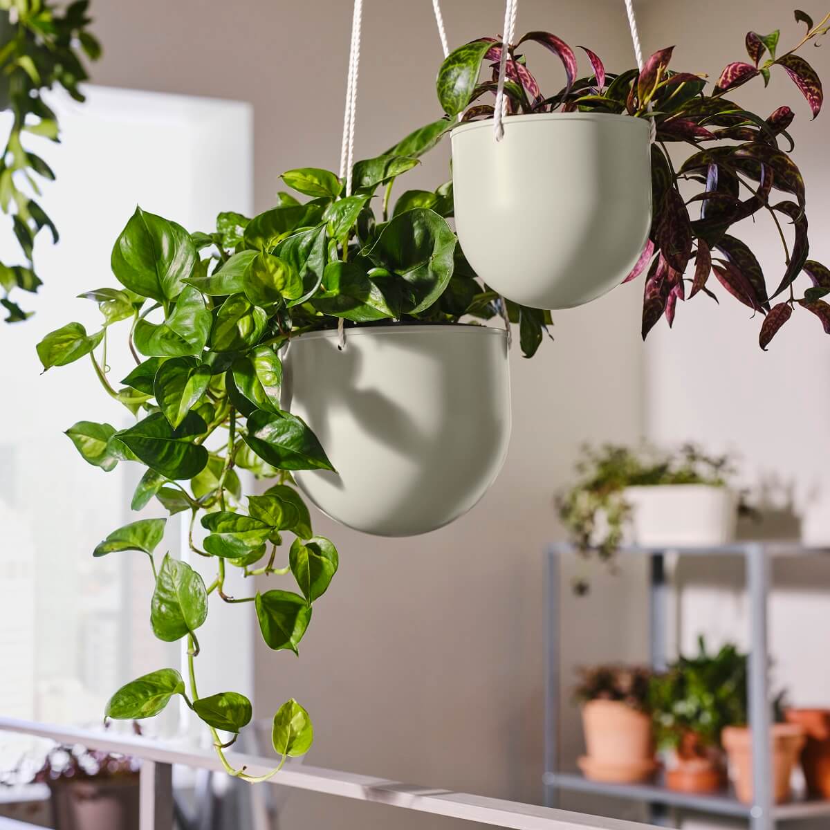 IKEA DAKSJUS: A Limited Collection for Plant Lovers 48 ikea-daksjus-new-collection-hanging-plant-pot
