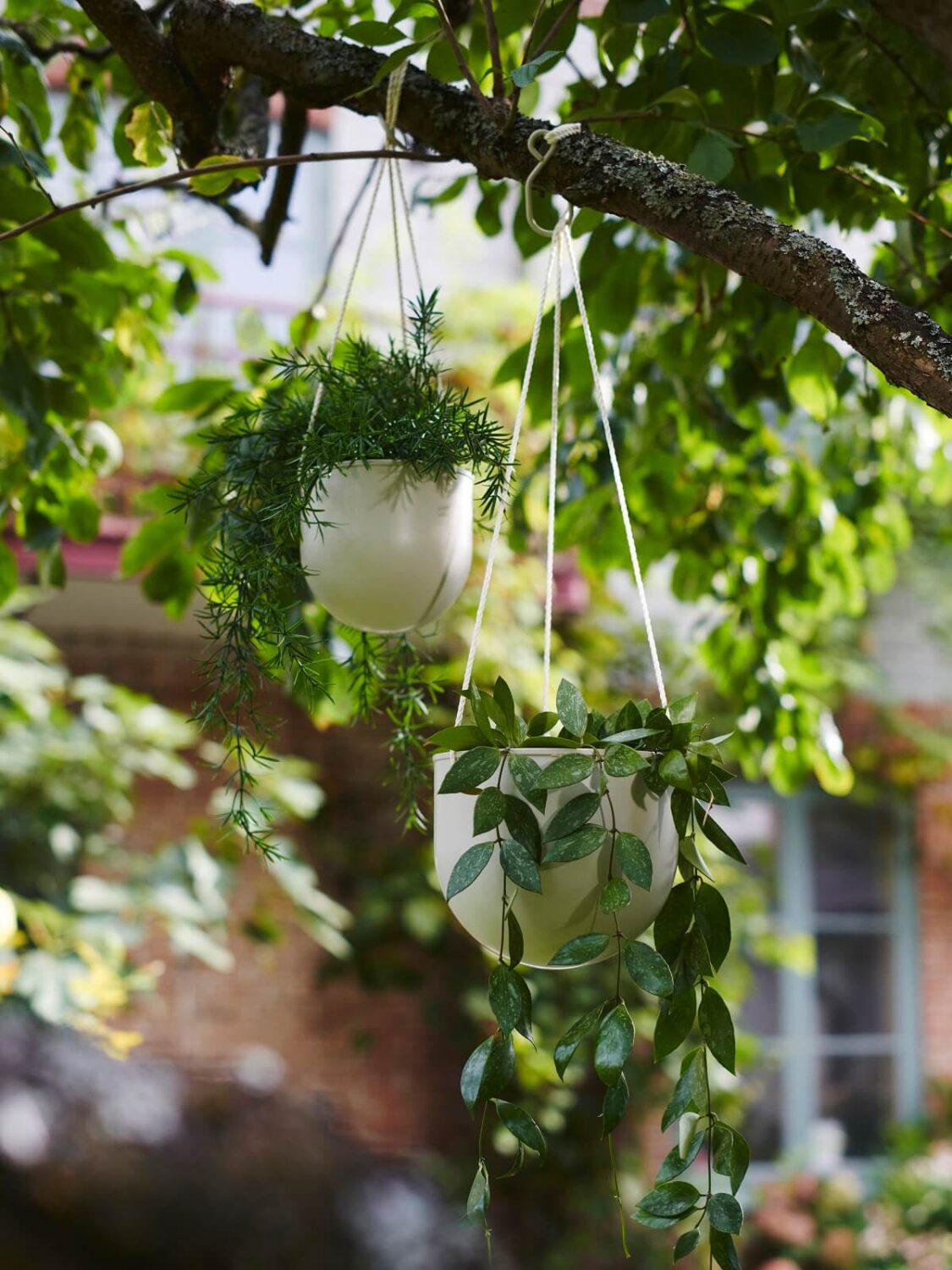 IKEA DAKSJUS: A Limited Collection for Plant Lovers 33 ikea-daksjus-new-collection-hanging -planters