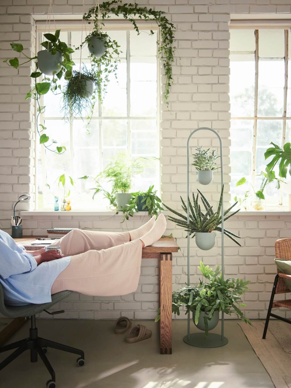 IKEA DAKSJUS: A Limited Collection for Plant Lovers 3 ikea-daksjus-new-collection-home-office