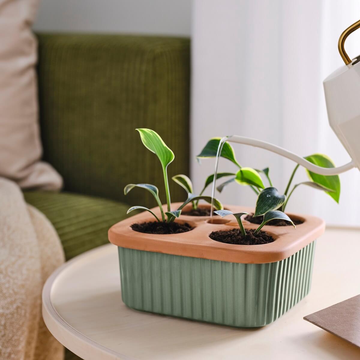 IKEA DAKSJUS: A Limited Collection for Plant Lovers 45 ikea-daksjus-new-collection-mint-green-terracotta