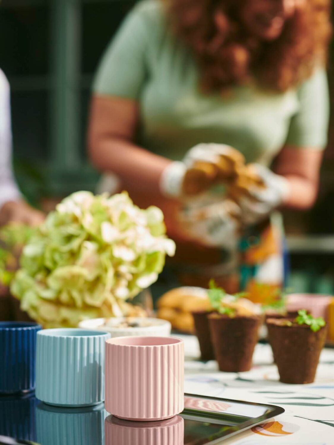 IKEA DAKSJUS: A Limited Collection for Plant Lovers 36 ikea-daksjus-new-collection-pink-blue-pots