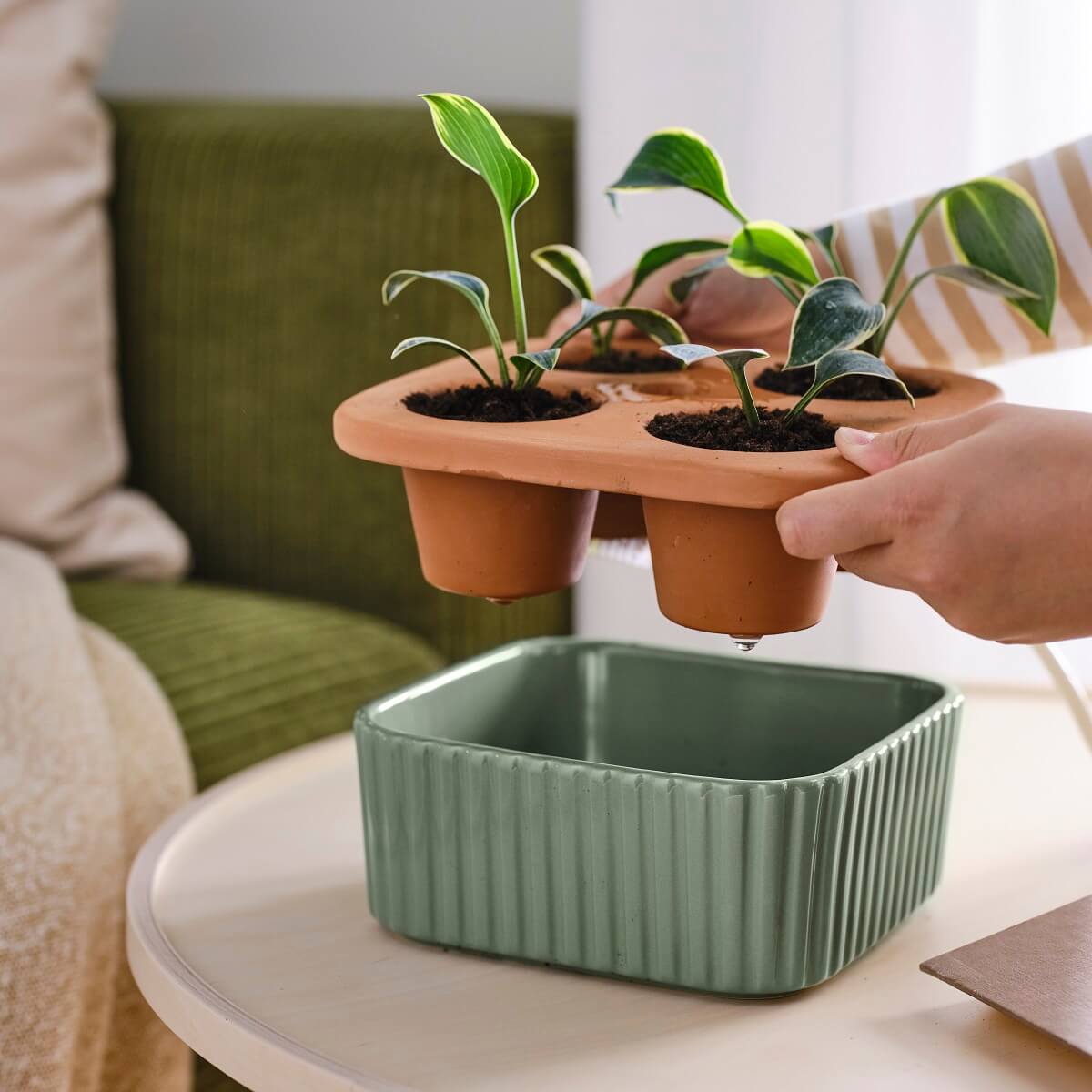 IKEA DAKSJUS: A Limited Collection for Plant Lovers 44 ikea-daksjus-new-collection-plant-collection