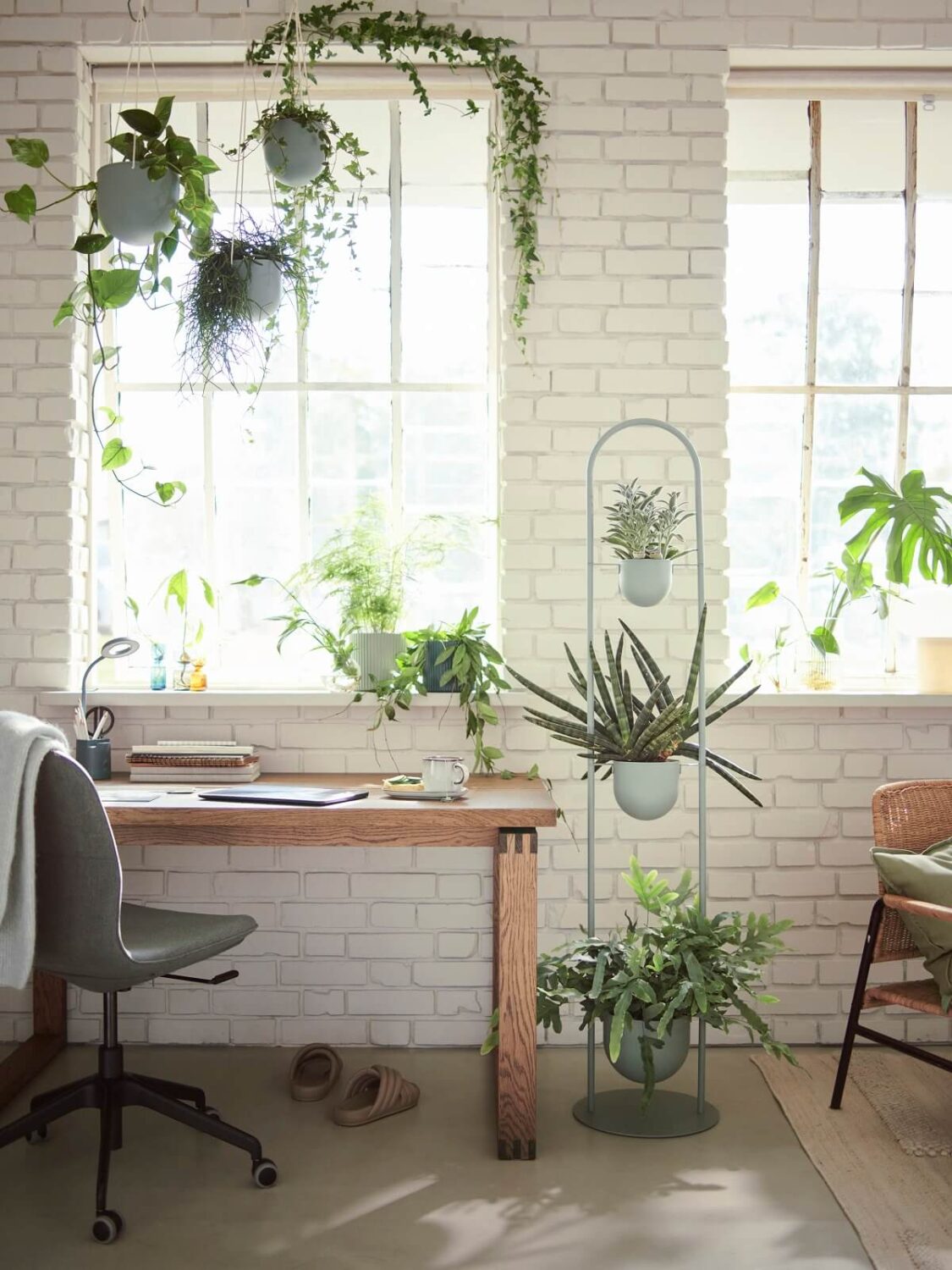 IKEA DAKSJUS: A Limited Collection for Plant Lovers 2 ikea-daksjus-new-collection-plants-above-desk
