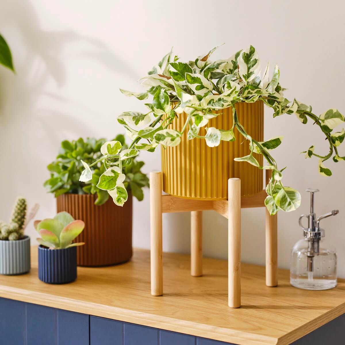 IKEA DAKSJUS: A Limited Collection for Plant Lovers 42 ikea-daksjus-new-collection-pots-on-stander