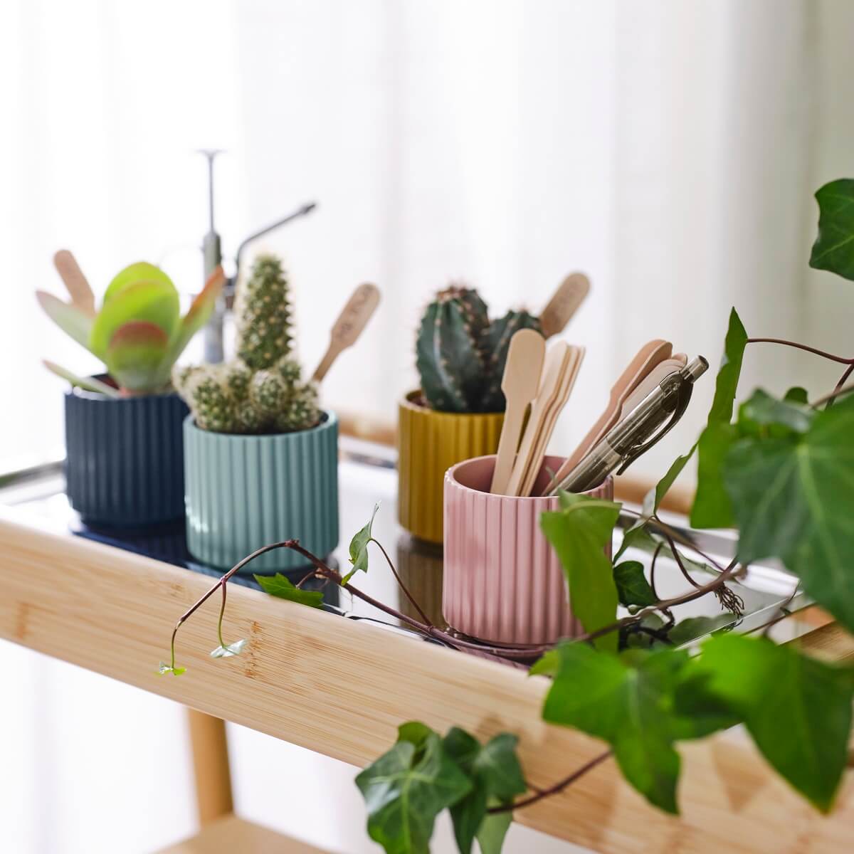 IKEA DAKSJUS: A Limited Collection for Plant Lovers 41 ikea-daksjus-new-collection-ribbed-colorful-pots