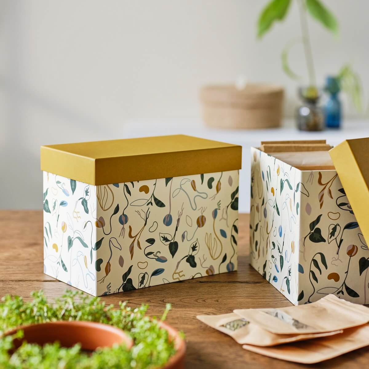 IKEA DAKSJUS: A Limited Collection for Plant Lovers 40 ikea-daksjus-new-collection-storage-box