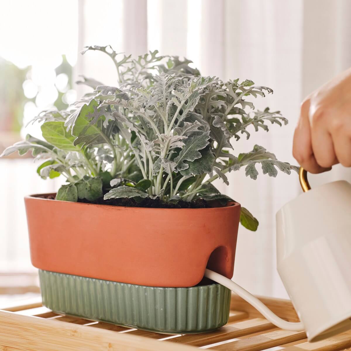 IKEA DAKSJUS: A Limited Collection for Plant Lovers 6 ikea-daksjus-new-collection-terracotta-mint-green-pot