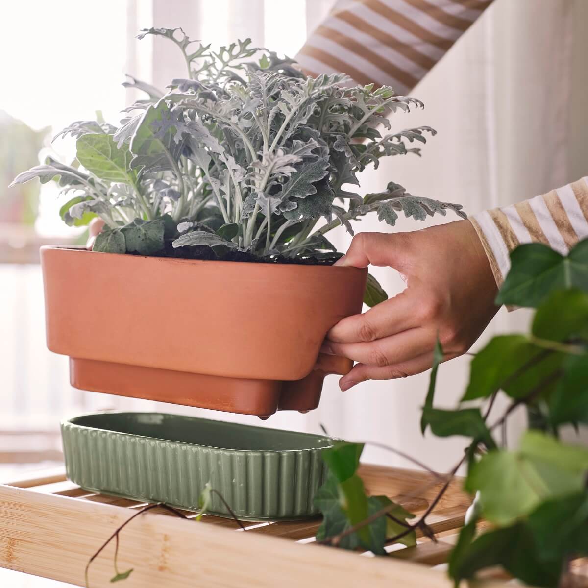 IKEA DAKSJUS: A Limited Collection for Plant Lovers 7 ikea-daksjus-new-collection-terracotta-plant-pot-detail