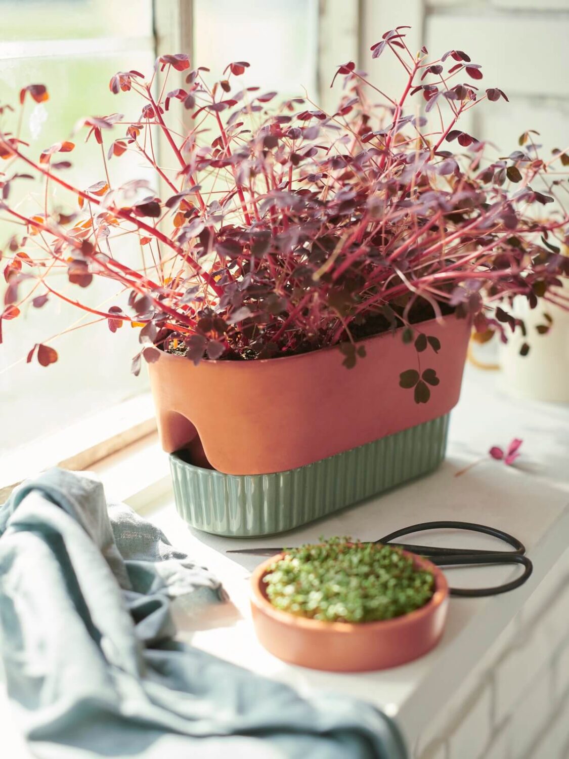IKEA DAKSJUS: A Limited Collection for Plant Lovers 5 ikea-daksjus-new-collection-terracotta-pot