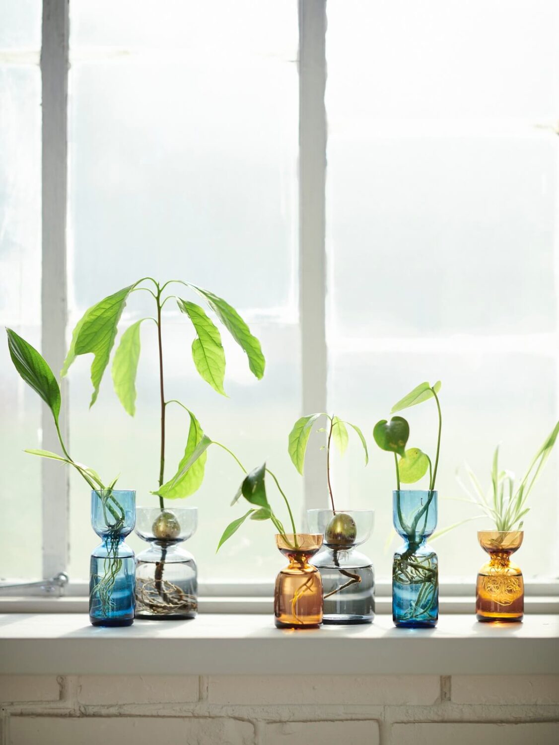 IKEA DAKSJUS: A Limited Collection for Plant Lovers 8 ikea-daksjus-new-collection-vases