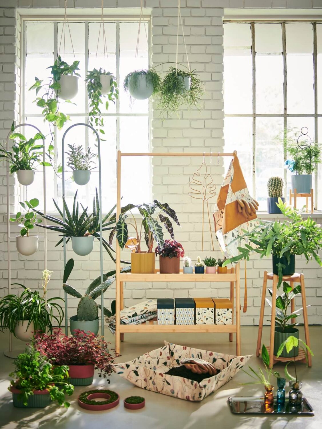 IKEA Catalogue 2026 + New IKEA Collections 70 ikea-daksjus-new-plant-collection-february-nordroom