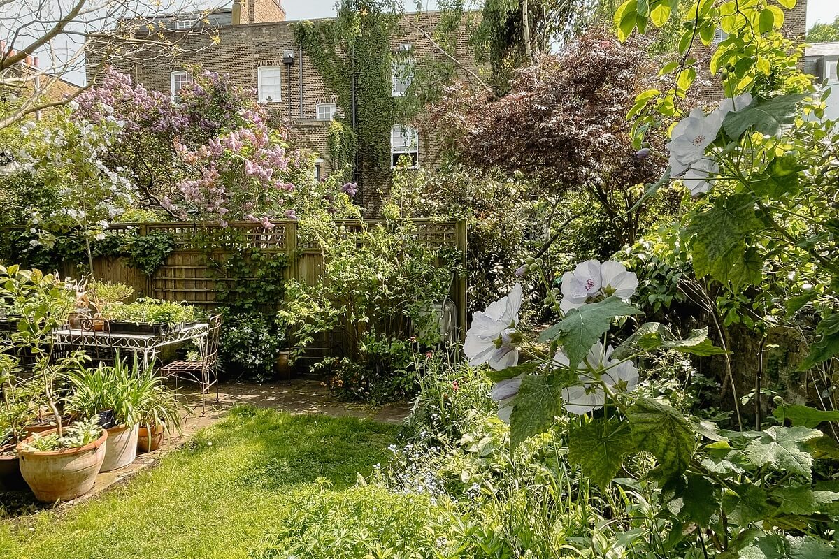 Cozy Cottage Style in a London House with a Garden 23 lawn-green-garden-london-house