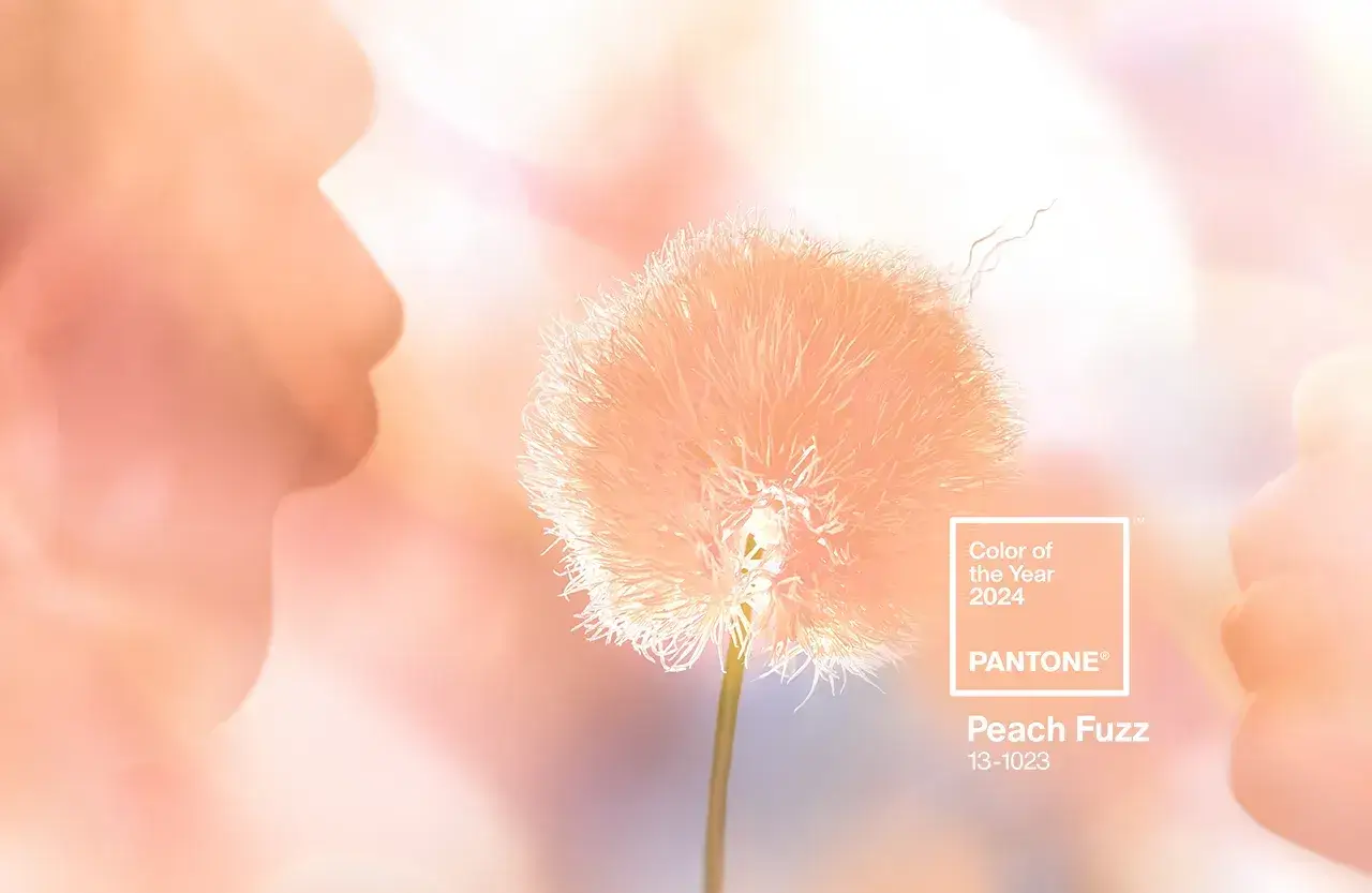 Pantone Color of the Year 2024 Home Decor Inspiration 2 pantone-color-of-the-year-2024-peach-fuzz