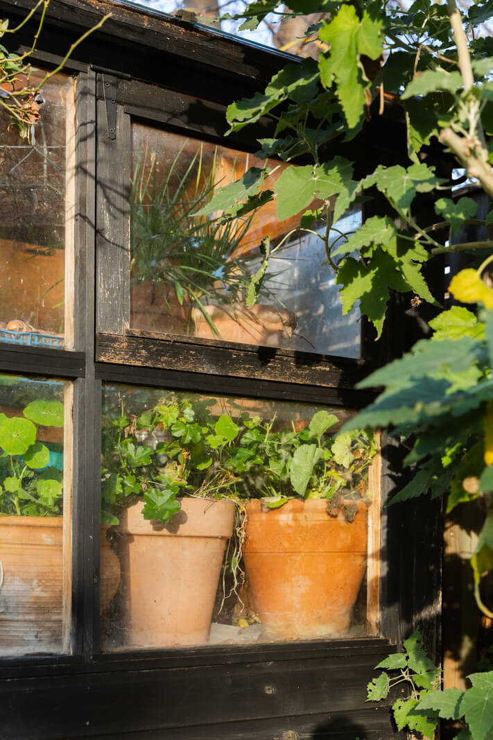 Cozy Cottage Style in a London House with a Garden 21 plant-shed-nordroom
