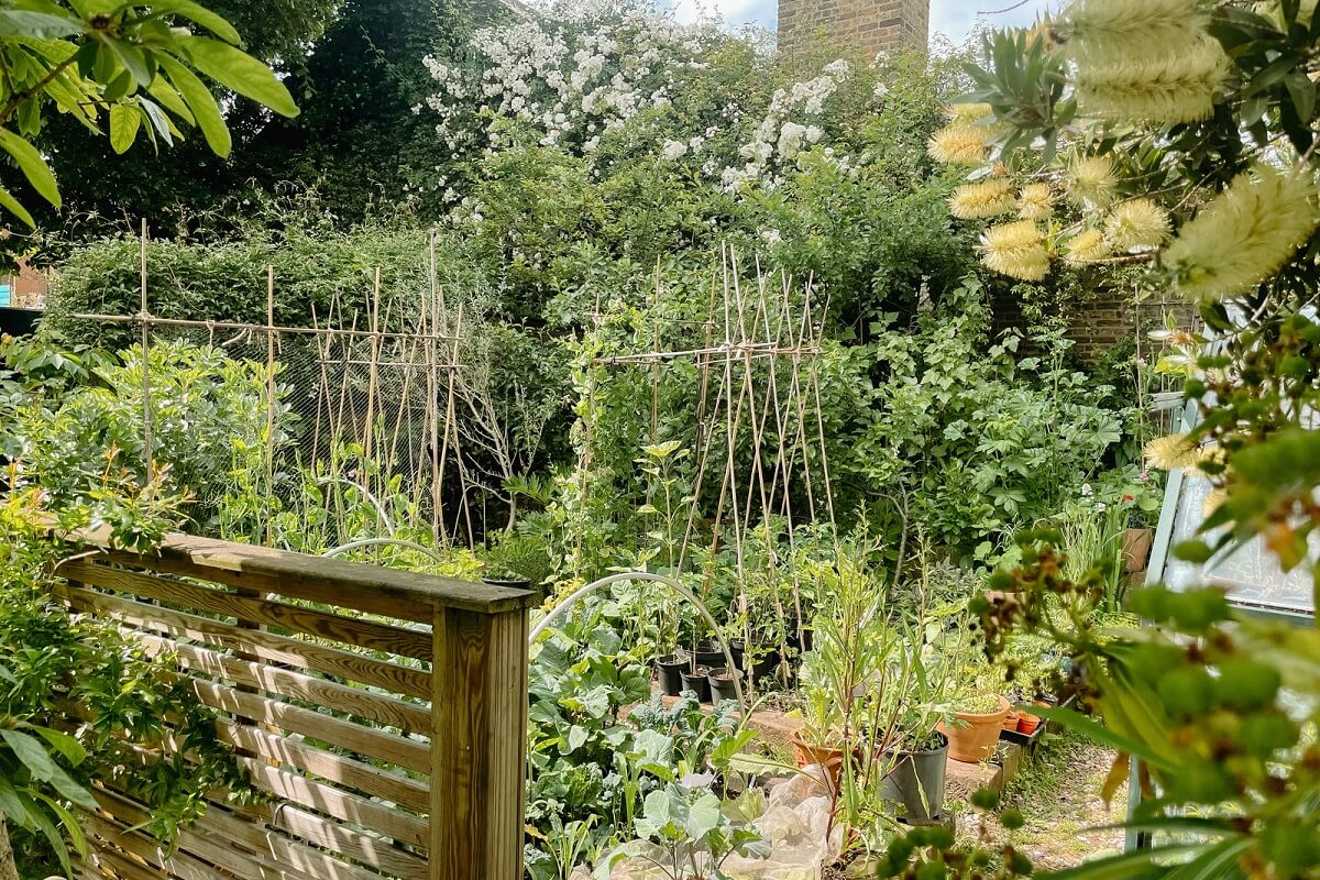 Cozy Cottage Style in a London House with a Garden 25 vegetable-garden