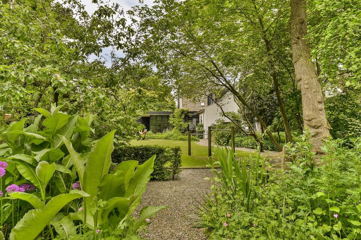 Wooden Interiors in a Historic Dutch Family Home 33 green-garden