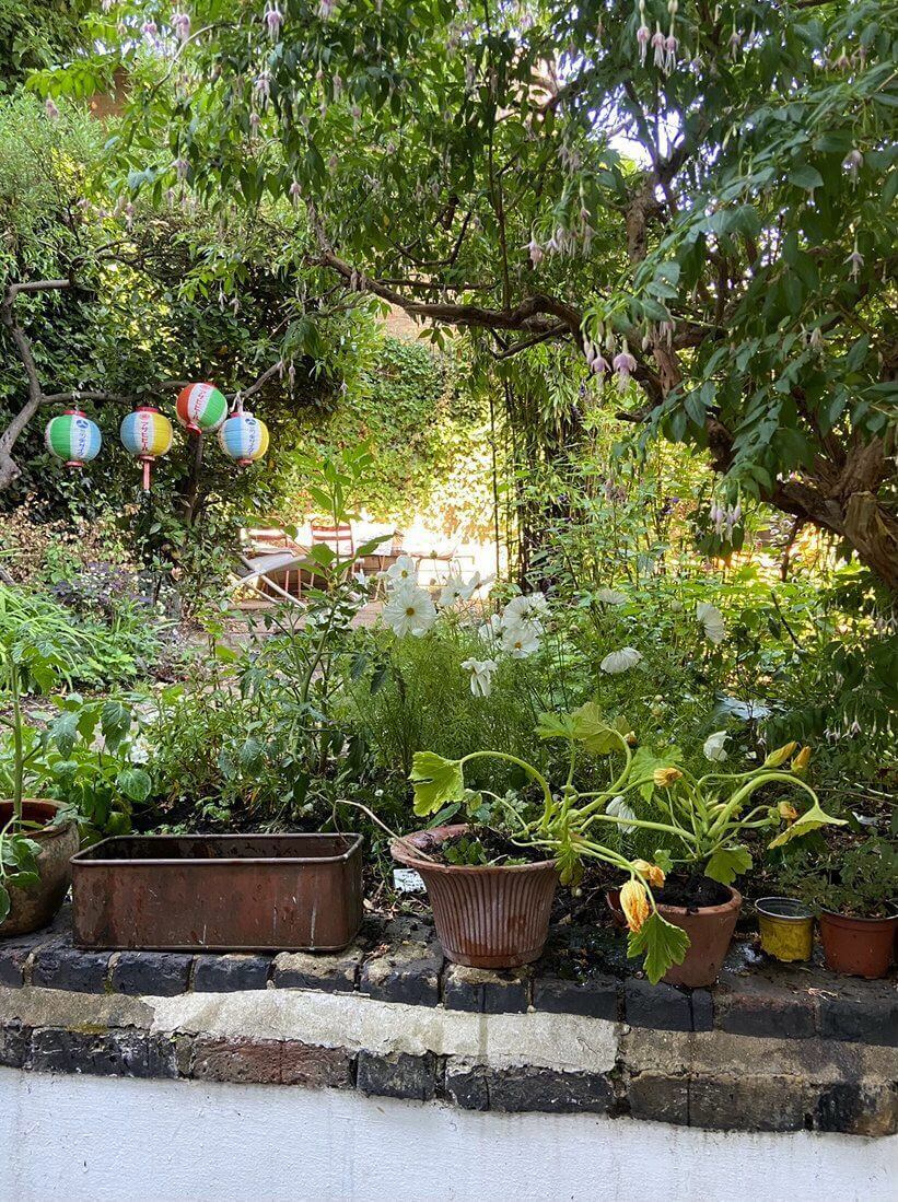 A Cozy and Charming Georgian Townhouse in London 29 green garden
