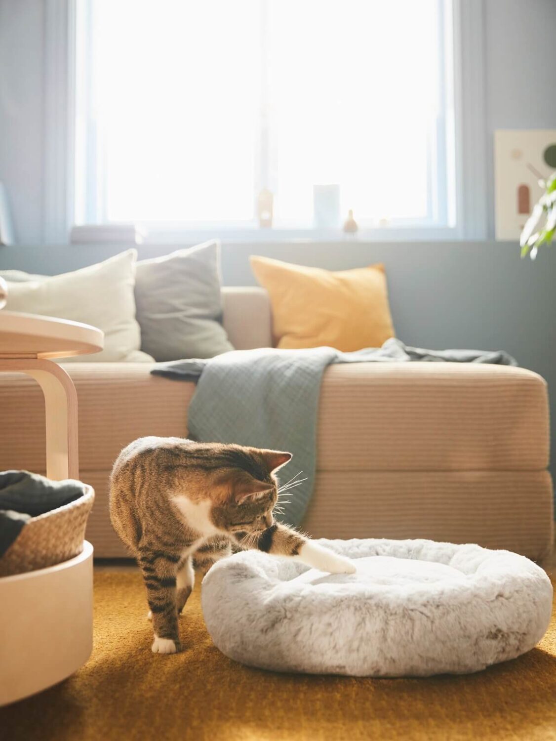 IKEA UTSÅDD: A Pets Collection for A Joyful Home Life 5 IKEA-UTSADD-animal-bed-nordroom