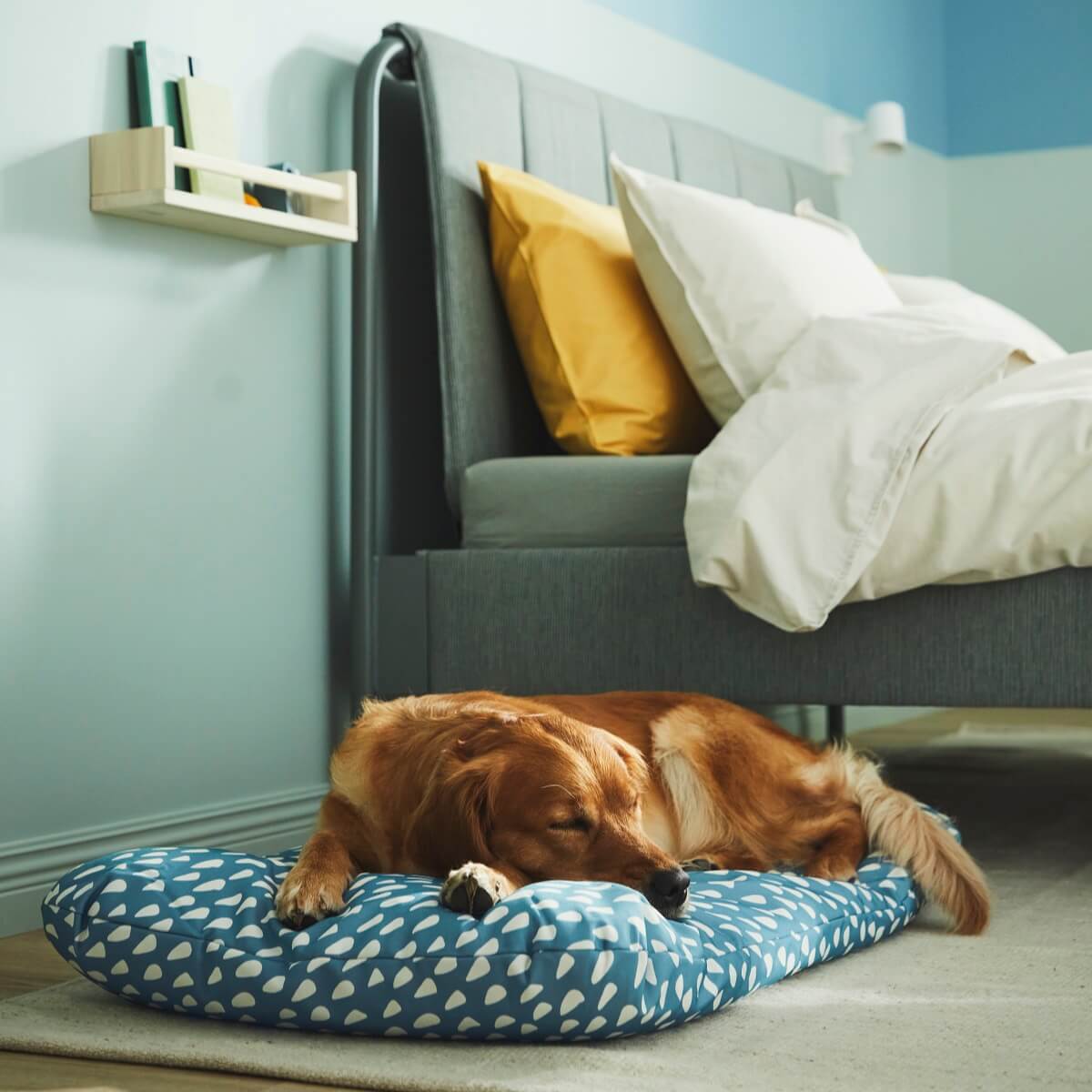 IKEA UTSÅDD: A Pets Collection for A Joyful Home Life 4 IKEA-UTSADD-animal-pillow-nordroom