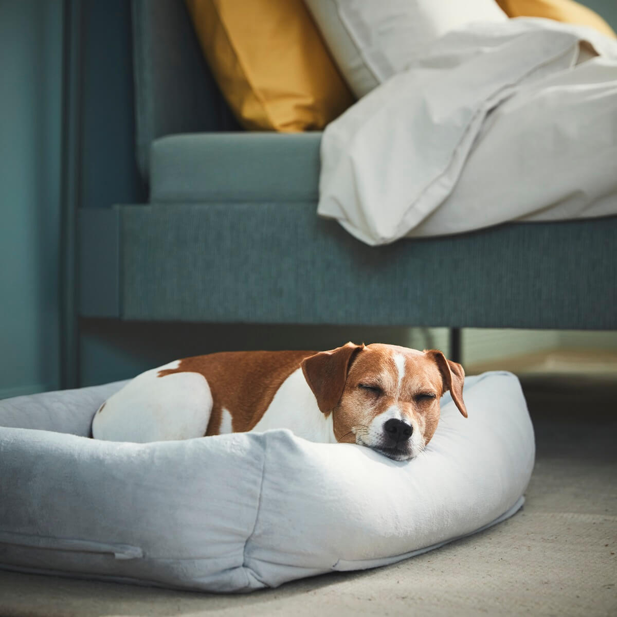 IKEA UTSÅDD: A Pets Collection for A Joyful Home Life 6 IKEA-UTSADD-dog-bed