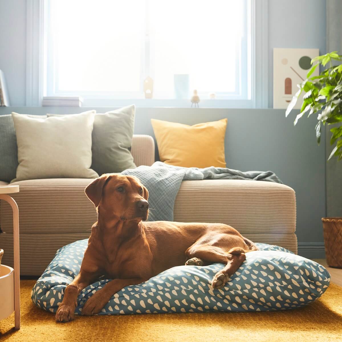 IKEA UTSÅDD: A Pets Collection for A Joyful Home Life 2 IKEA-UTSADD-dog-pillow