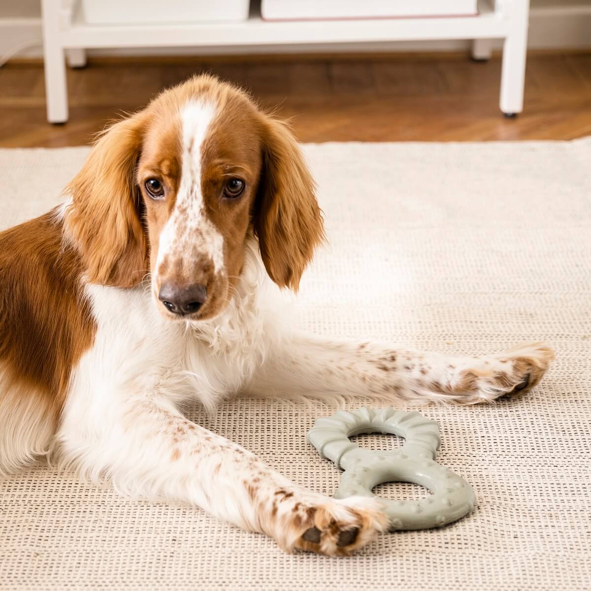IKEA UTSÅDD: A Pets Collection for A Joyful Home Life 13 IKEA-UTSADD-dog-toy-nordroom