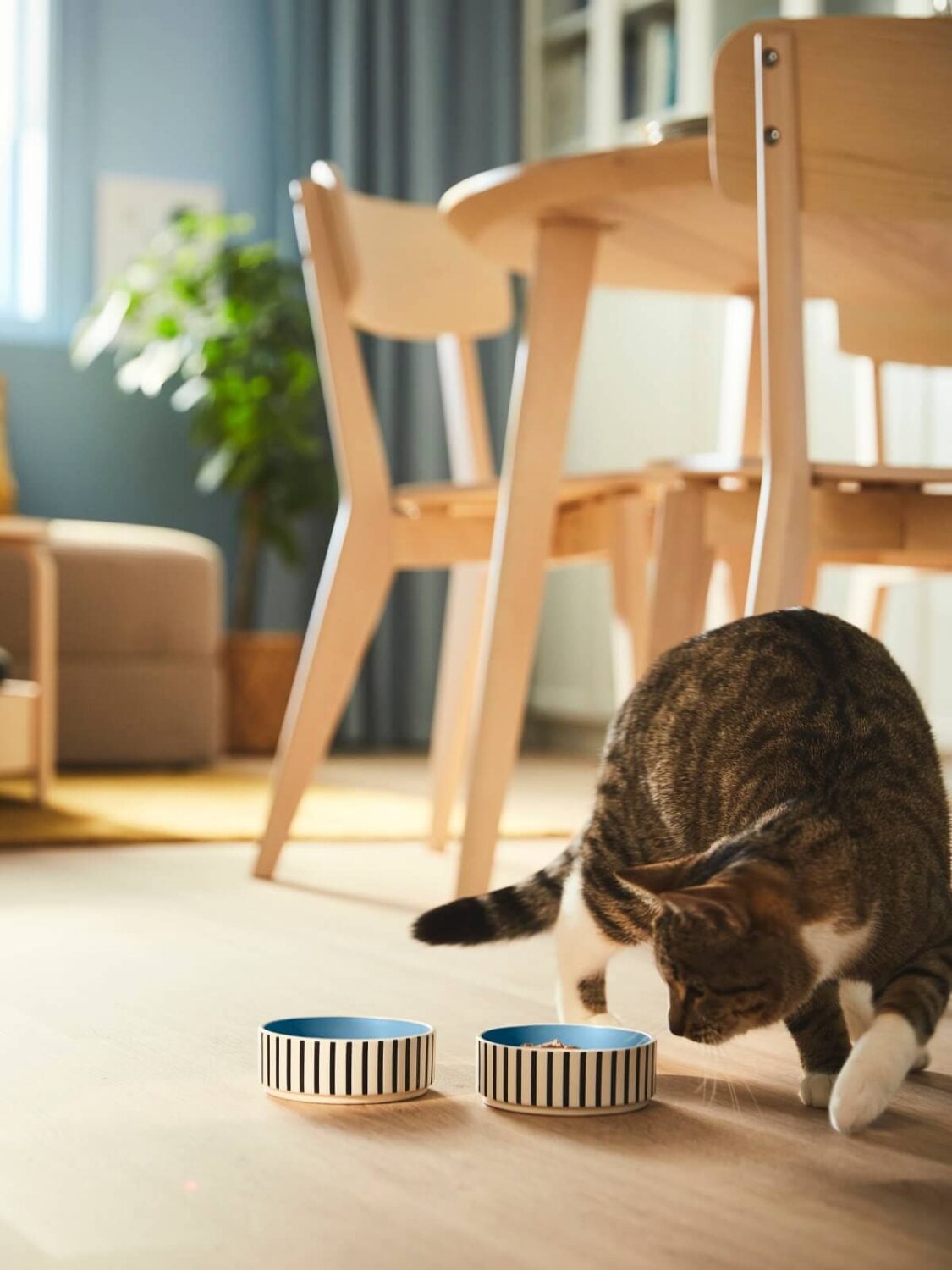 IKEA UTSÅDD: A Pets Collection for A Joyful Home Life 10 IKEA-UTSADD-food-bowl-nordroom