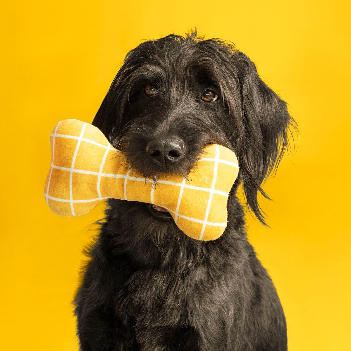 IKEA UTSÅDD: A Pets Collection for A Joyful Home Life 1 IKEA-UTSADD-yellow-bone-dog-toy-nordroom