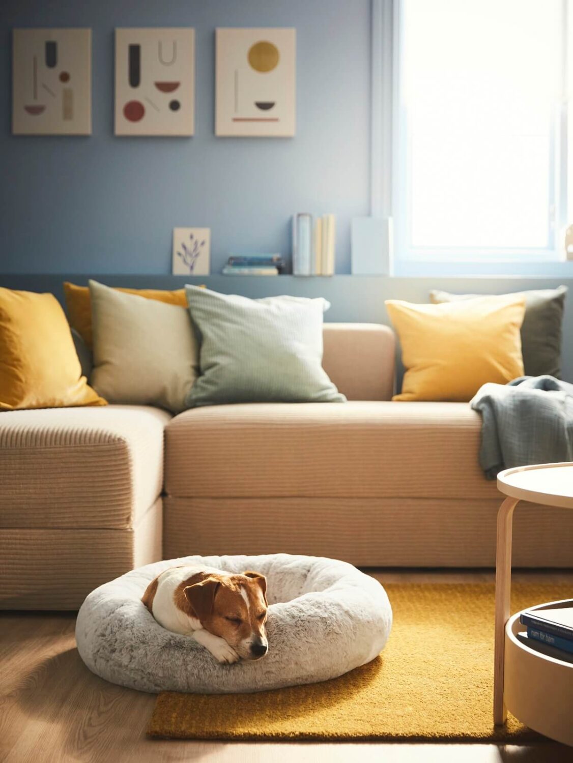IKEA UTSÅDD: A Pets Collection for A Joyful Home Life 3 IKEA_UTSADD_animal bed