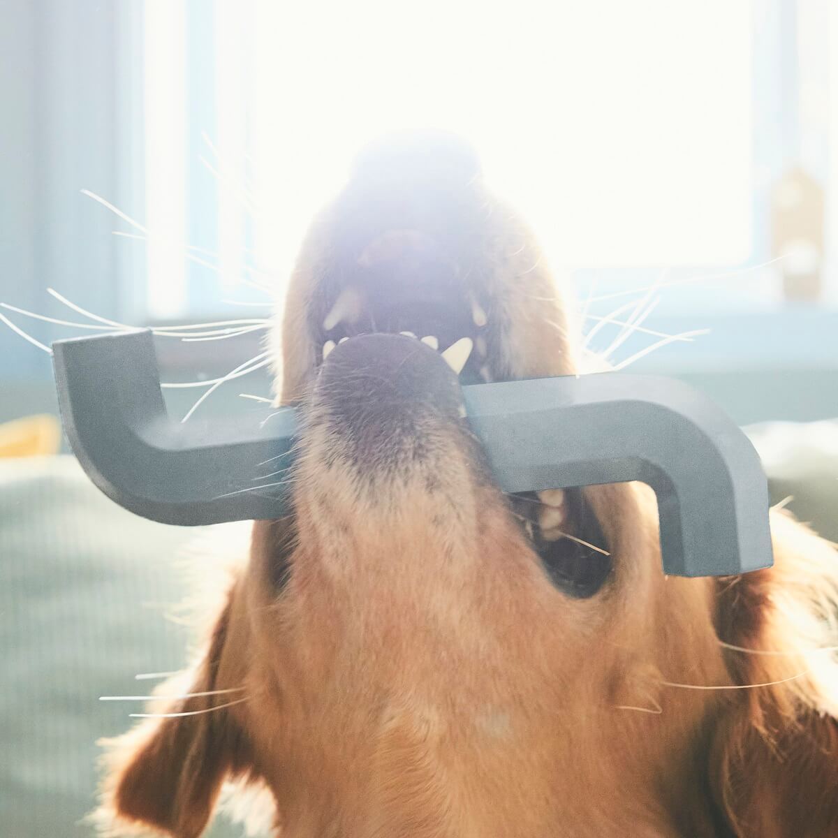 IKEA UTSÅDD: A Pets Collection for A Joyful Home Life 15 IKEA_UTSADD_dog-toy-nordroom