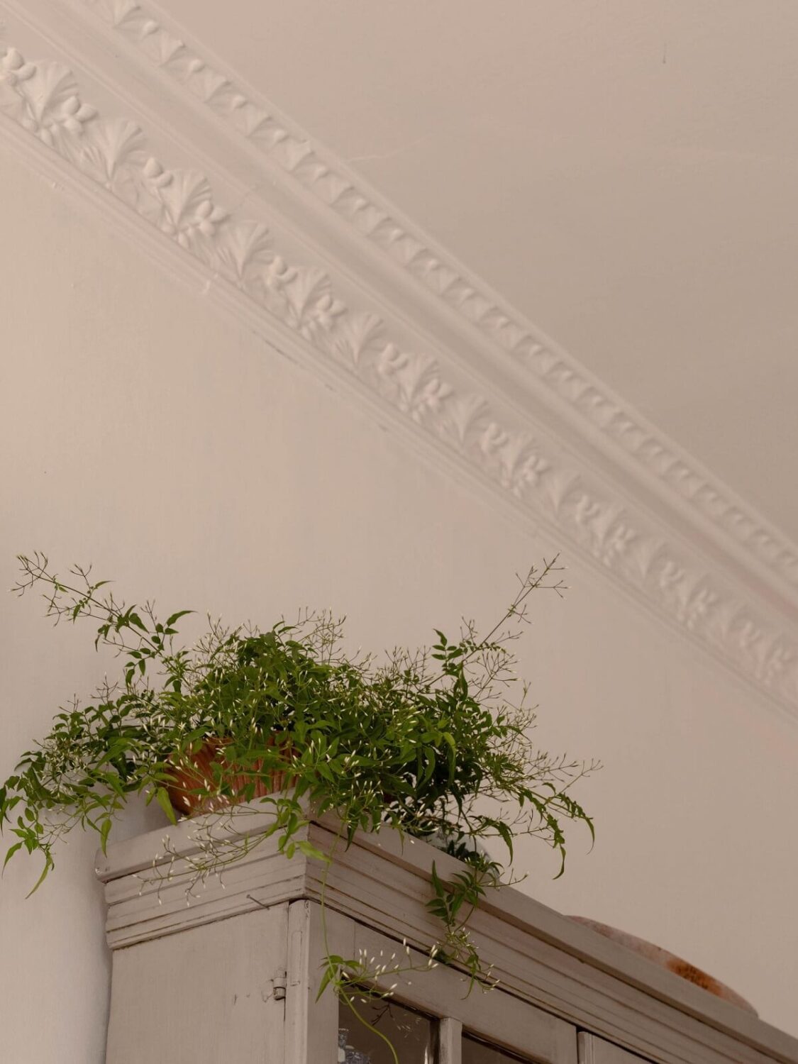 Elsa Billgren's Serene Stockholm Apartment is For Sale 5 ceiling ornaments