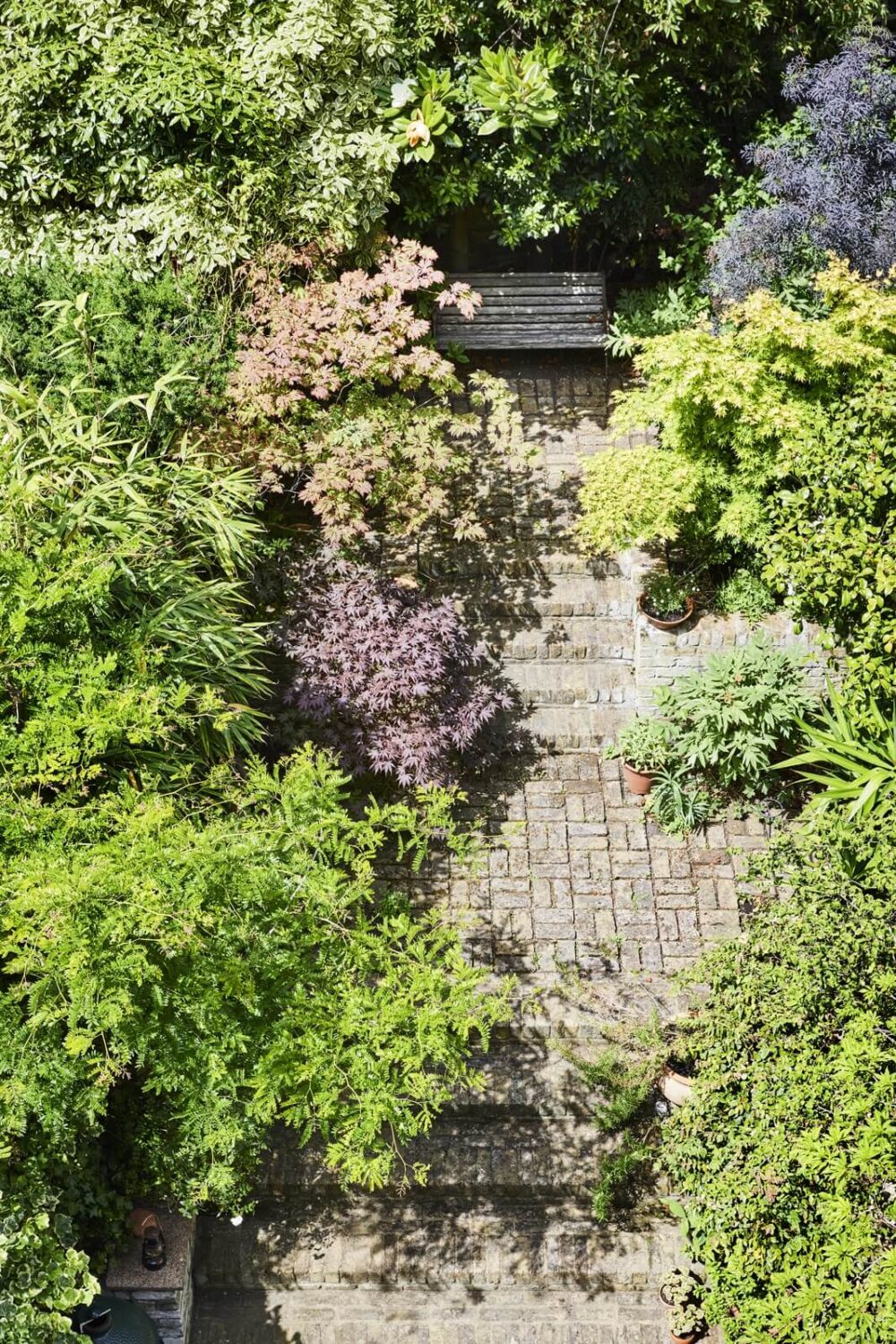 Inviting Colors in a Charming Georgian House in London 24 garden