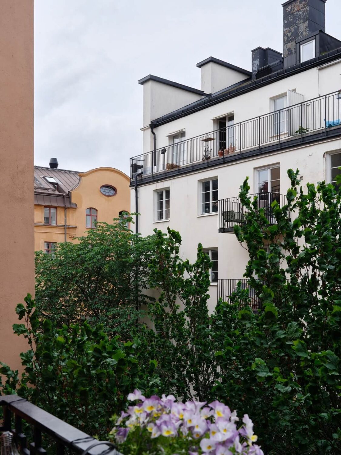 A Small Gray Apartment with Industrial Glass Walls 5 green balcony view