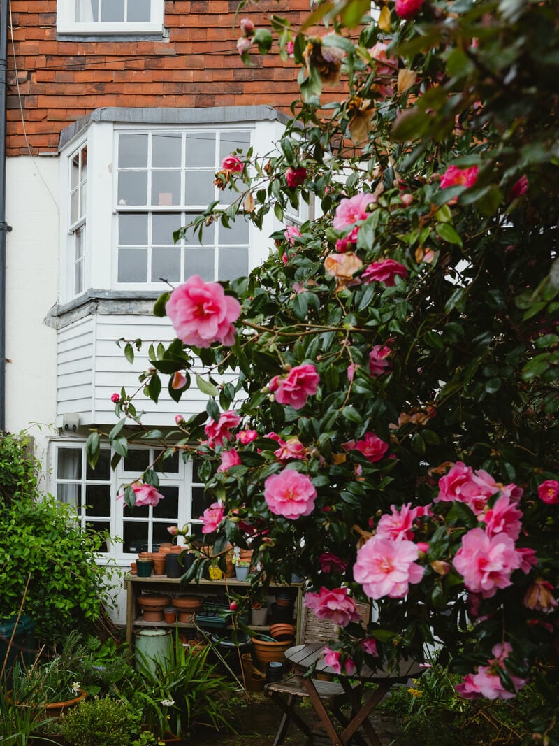 A Cozy Historic English House with Exposed Beams 17 Hill Street Hastings 4 A Cozy Historic English House with Exposed Beams