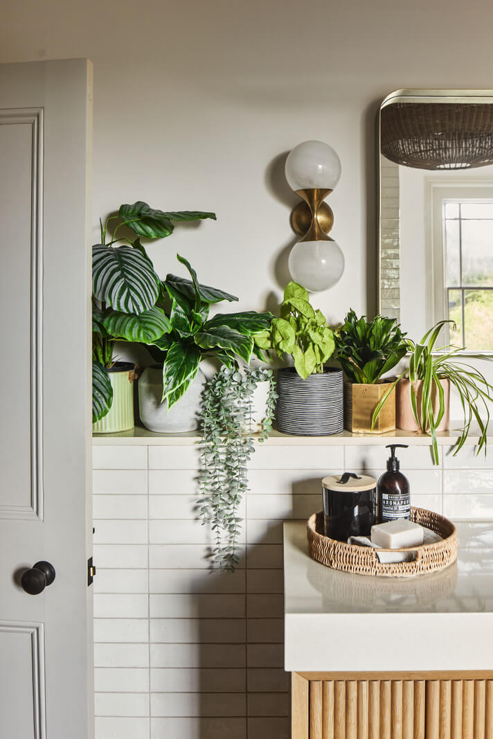 Historic Features and Modern Design in an English Regency Villa 20 bathroom with plants