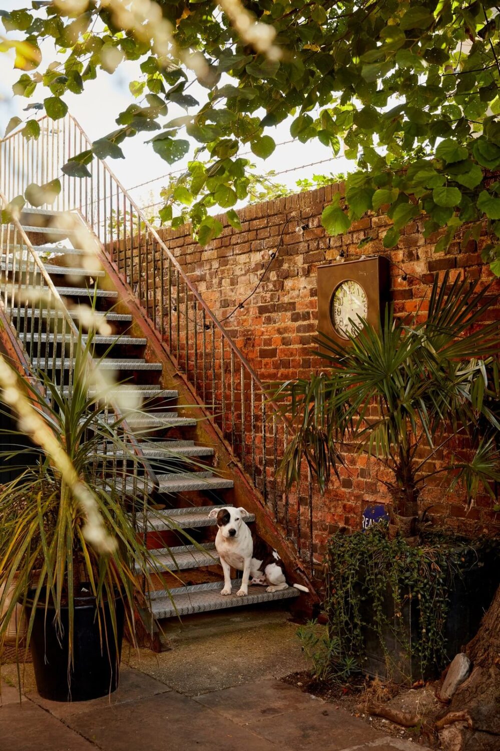 A Georgian House in England with a Ballroom 26 walled garden