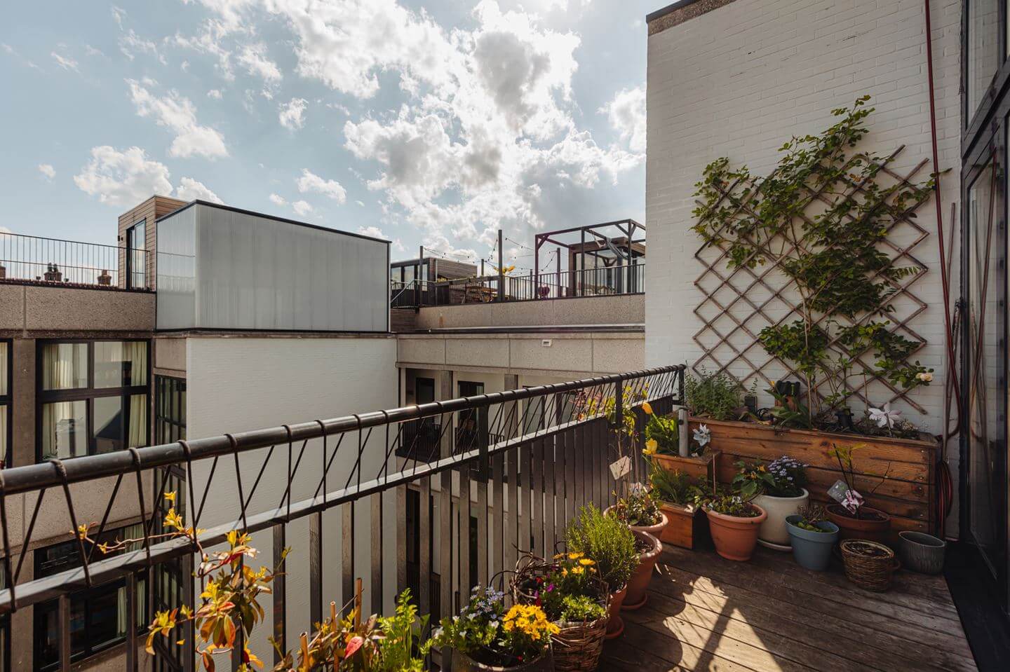 A Modern Loft-Style School Conversion in Amsterdam 8 balcony with plants