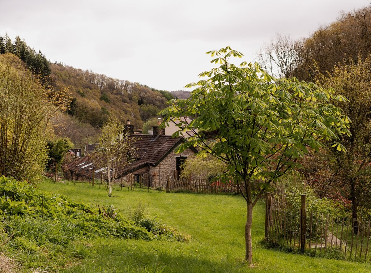 Ochre Yellow and Green Tones in a Cozy Welsh Cottage 29 cottage garden lawn