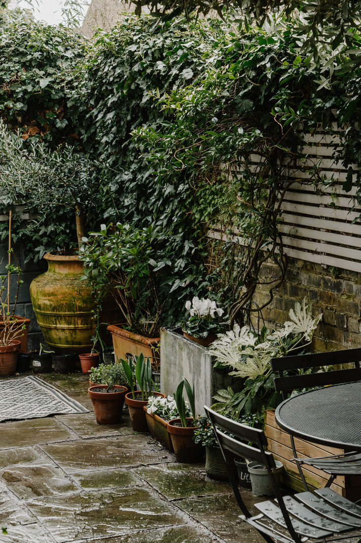 Neutral Tones and Original Features in an English Townhouse 18 detail courtyard garden