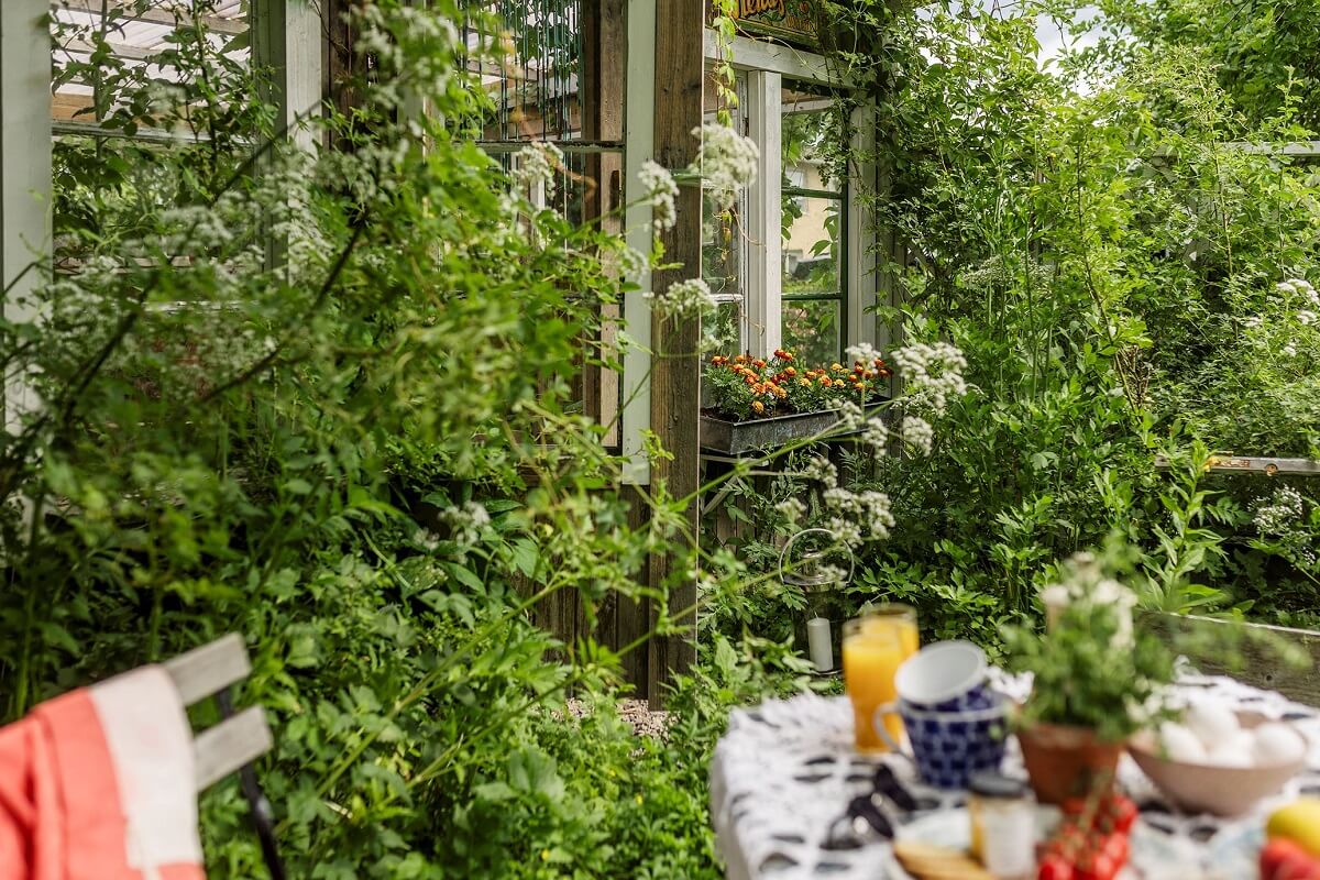 A Historic Swedish Country House with a Beautiful Garden 25 green garden