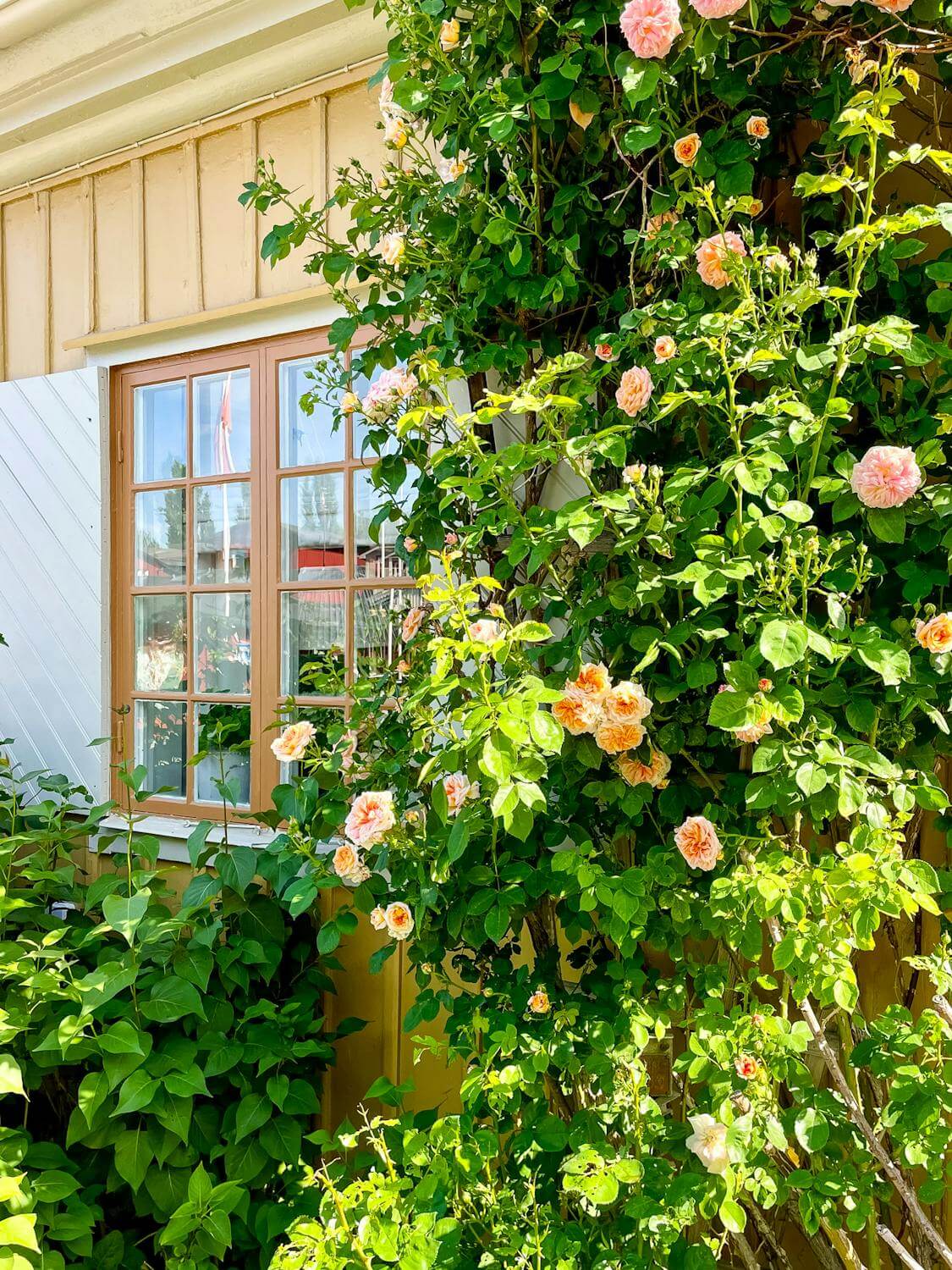 A Classic and Luxurious Lakeside Home in Sweden 31 roses luxurious summer house sweden nordroom