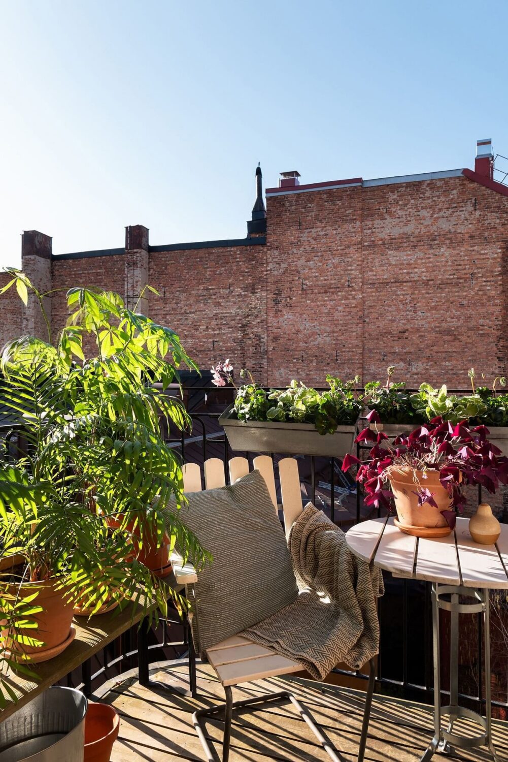 Light Rooms in a Renovated Historic Apartment in Stockholm 20 sunny balcony filled with plants nordroom