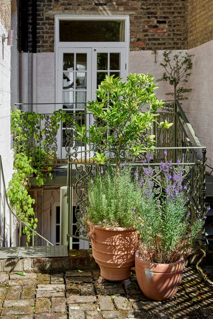 Limewash Paint and Artisan Wallpaper in a London Townhouse 48 city garden