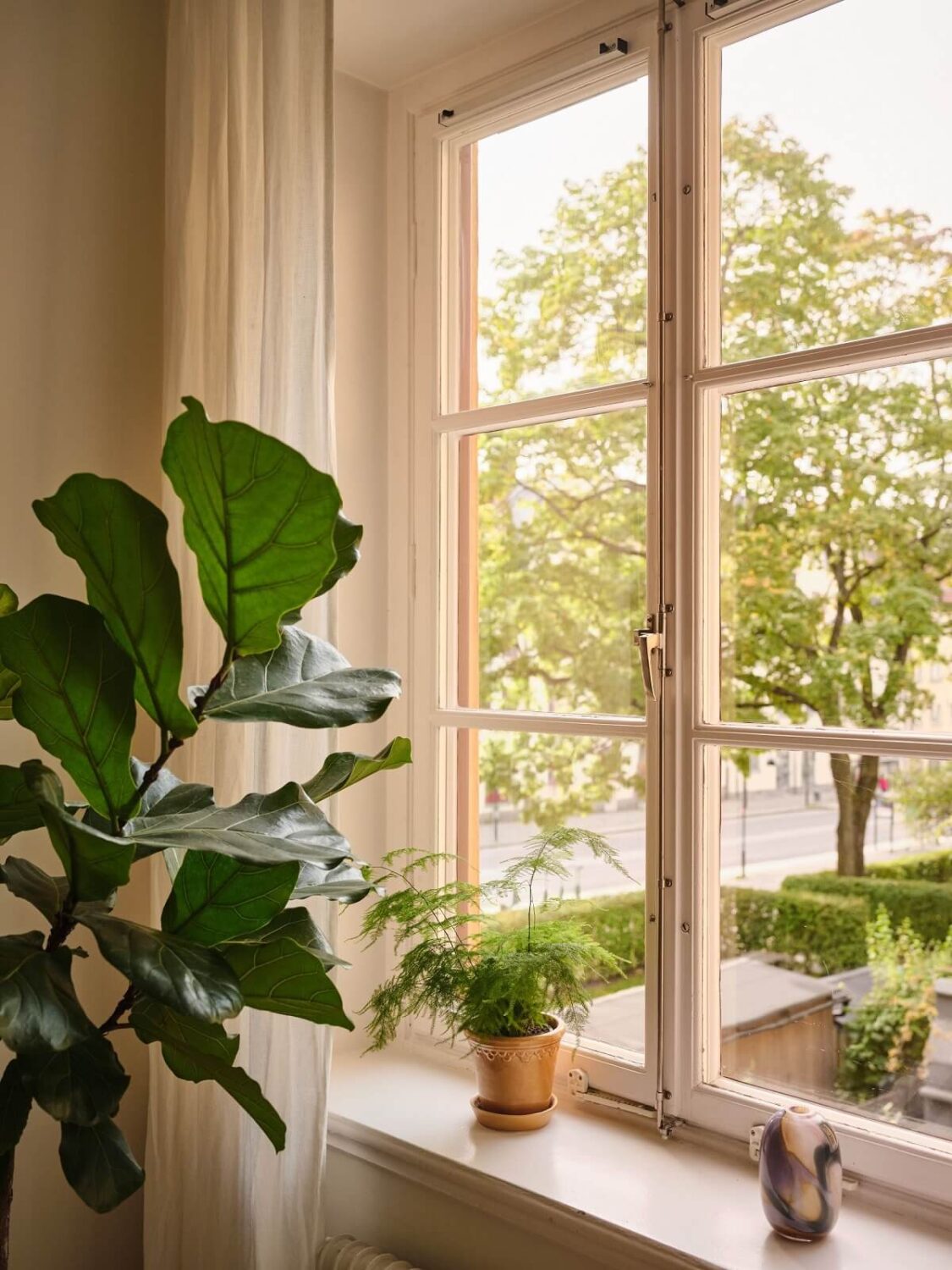 A Light Apartment with a Sage Green Kitchen 3 window view A Light Apartment with a Sage Green Kitchen