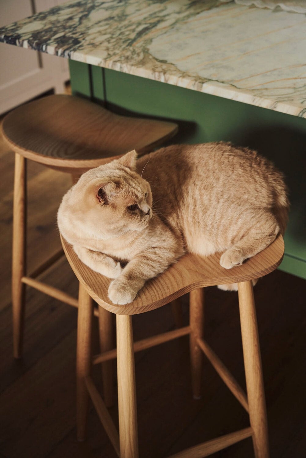 A Pretty Pink and Green deVOL Kitchen in South London 8 bar stools with cat