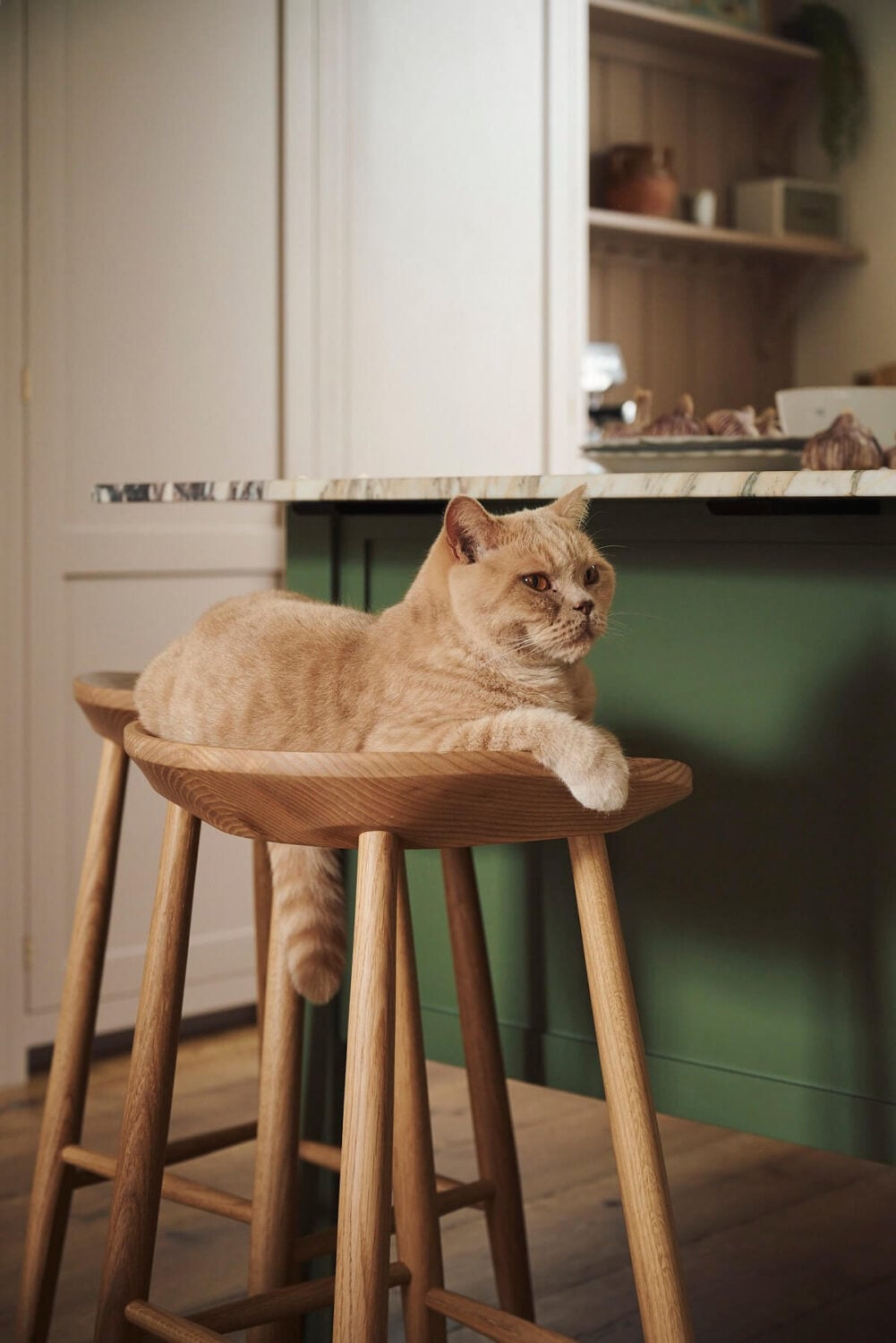 A Pretty Pink and Green deVOL Kitchen in South London 6 devol bar stool with cat