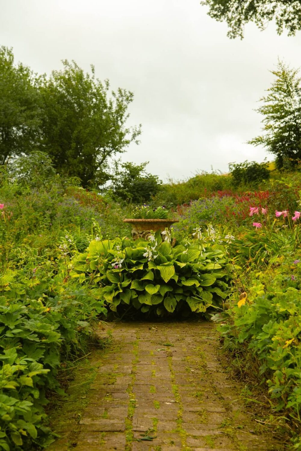 A Yellow Farmhouse with Bold Color Pops in Wales 27 farmhouse garden