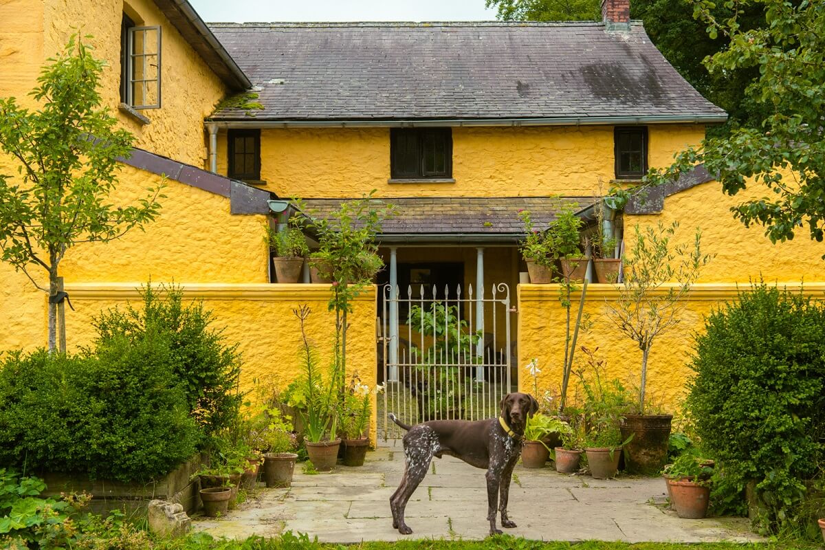 A Yellow Farmhouse with Bold Color Pops in Wales 25 yellow farmhouse wales